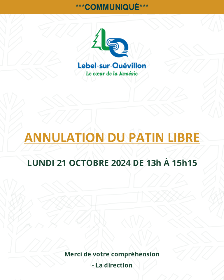 Annulation hockey libre 2024-10-21 (768x960)