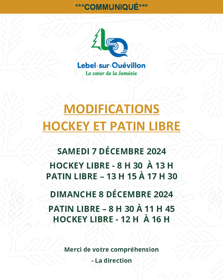 2024-12-07 et 2024-12-08 - Modifications hockey et patin libre  (768x960)