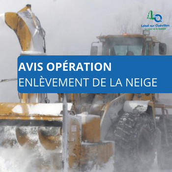 Enlèvement neige image ArsenalV