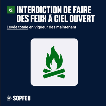 feu vert