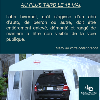 2024 aVIS TEMPO